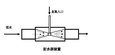 臭氧水消毒蔬菜视频